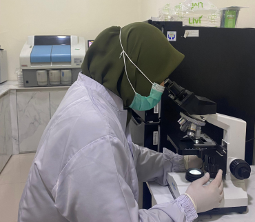 Tanpa judul (370 x 322 piksel)